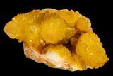 Sunshine Cactus Quartz Crystal Cluster - South Africa #132887-1